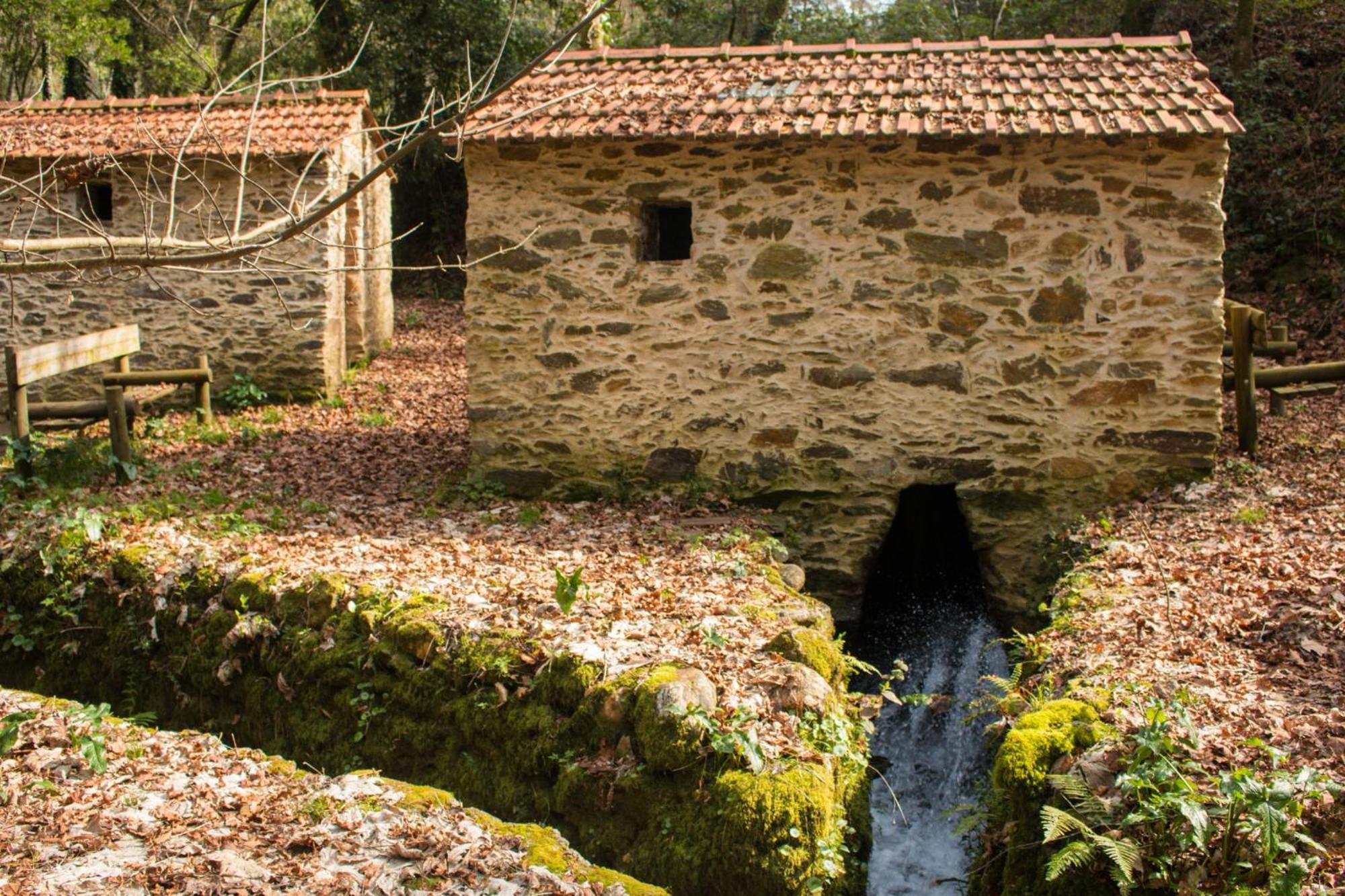 Quinta Das Aguias Aveiro Exterior foto