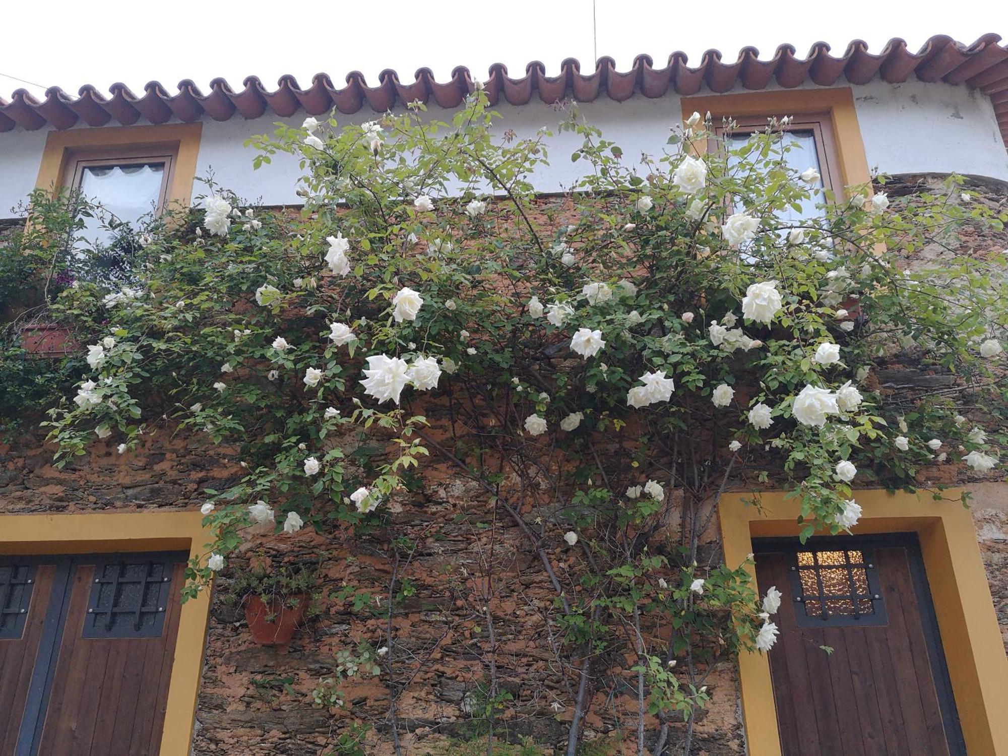 Quinta Das Aguias Aveiro Exterior foto